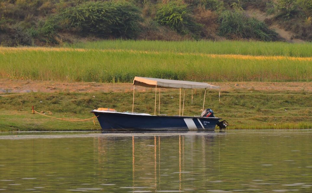 National-Chambal-Gharial-Sanctuary-Palighat
